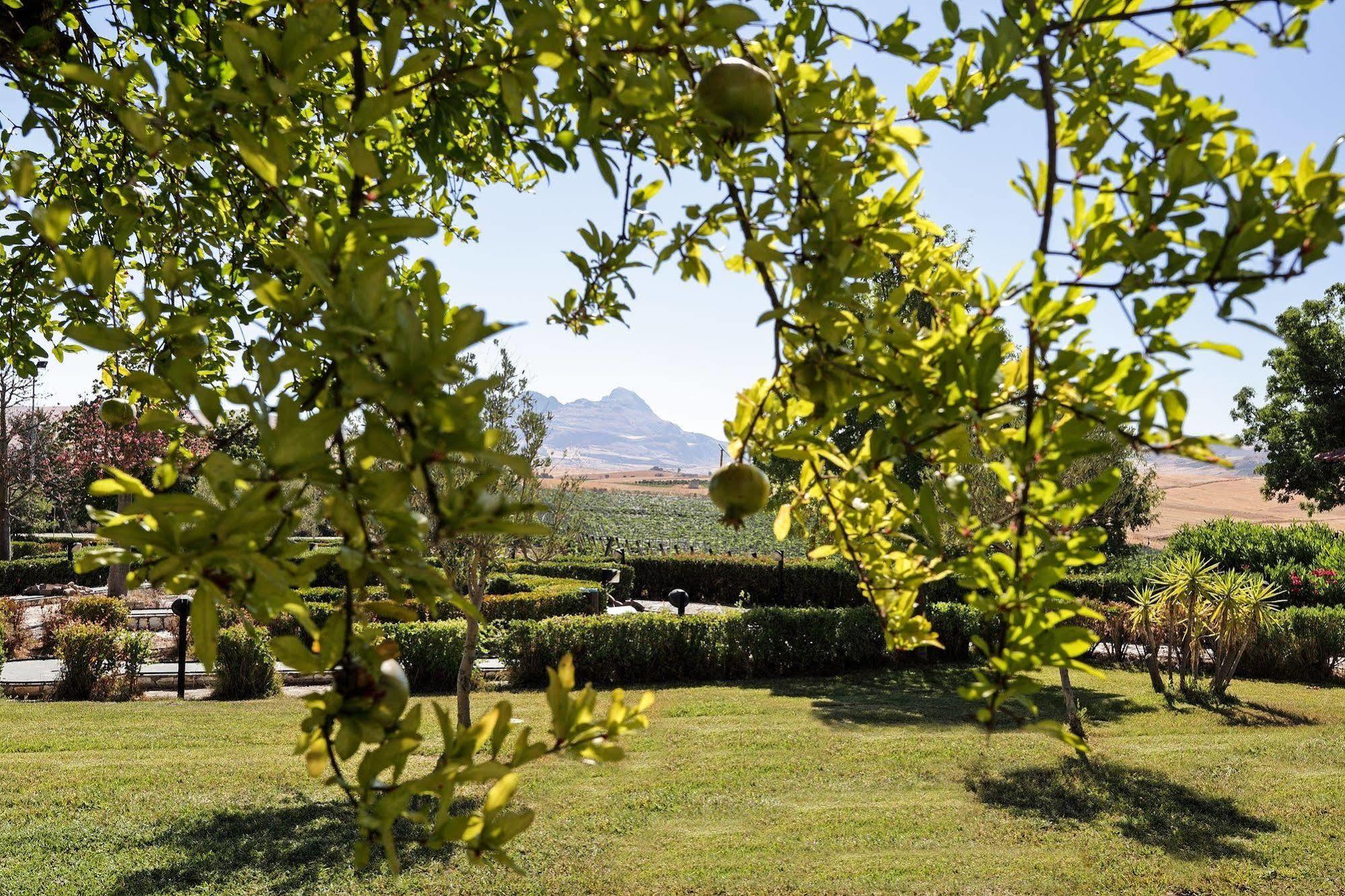 Agriturismo Tenute Pollara Roccamena Екстер'єр фото